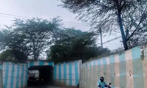 Karnataka ; गौरीबिदनूर के बीचों-बीच रेलवे पुल पर पेड़ उग आए हैं Karnataka ; गौरीबिदनूर के बीचों-बीच रेलवे पुल पर पेड़ उग आए हैं