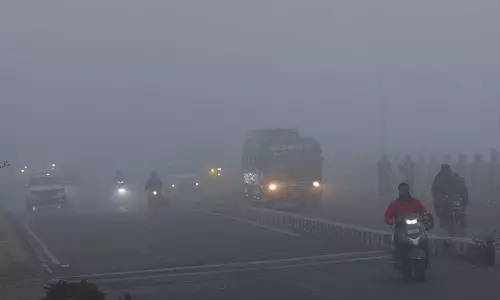 Haryana : राज्य में कोहरा छाया, शीतलहर तेज़ हुई