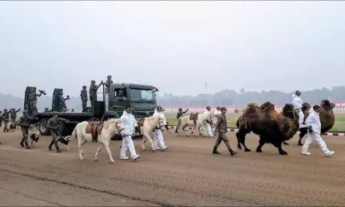 JAMMU: ज़ांस्कर टट्टू, बैक्ट्रियन ऊंट लद्दाख में शामिल किए गए