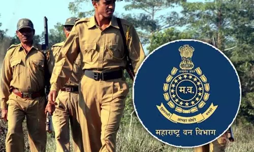 फर्जी forest guard अपॉइंटमेंट लेटर बनाकर युवाओं से ठगी करने वाला गैंग फर्जी forest guard अपॉइंटमेंट लेटर बनाकर युवाओं से ठगी करने वाला गैंग