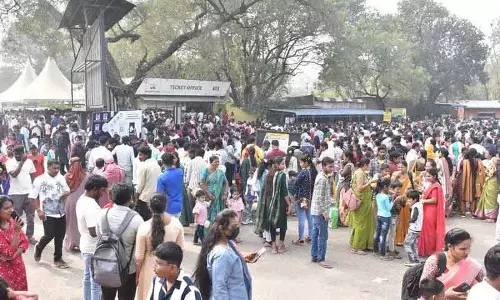 New Year पर नेहरू ज़ू में उमड़ा जनसैलाब: एक दिन में पहुंचे 26 हजार विज़िटर्स New Year पर नेहरू ज़ू में उमड़ा जनसैलाब: एक दिन में पहुंचे 26 हजार विज़िटर्स