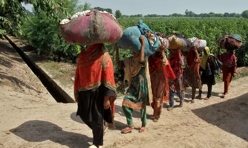 नीतिगत विफलताओं और जलवायु संबंधी झटकों से Pakistan में कृषि संकट गहरा रहा