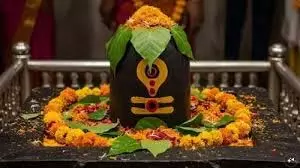 Pradosh Vrat 2026: आज रखा जाएगा प्रदोष व्रत, शिवलिंग पर अर्पित करें ये चीजें Pradosh Vrat 2026: आज रखा जाएगा प्रदोष व्रत, शिवलिंग पर अर्पित करें ये चीजें