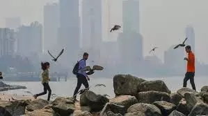 Mumbai: बारिश से हुआ नए साल का स्वागत, बढ़ गई ठंड Mumbai: बारिश से हुआ नए साल का स्वागत, बढ़ गई ठंड