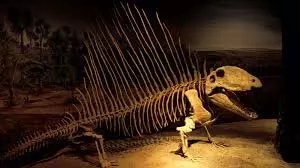Science: अधूरे कंकाल से वैज्ञानिकों से कर दी बड़ी खोज Science: अधूरे कंकाल से वैज्ञानिकों से कर दी बड़ी खोज