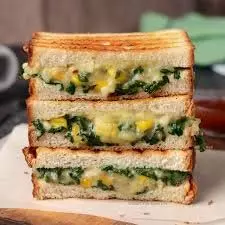 Palak Corn Sandwich Recipe:नाश्ते में बनाकर खाएं हेल्दी पालक कॉर्न सैंडविच Palak Corn Sandwich Recipe:नाश्ते में बनाकर खाएं हेल्दी पालक कॉर्न सैंडविच