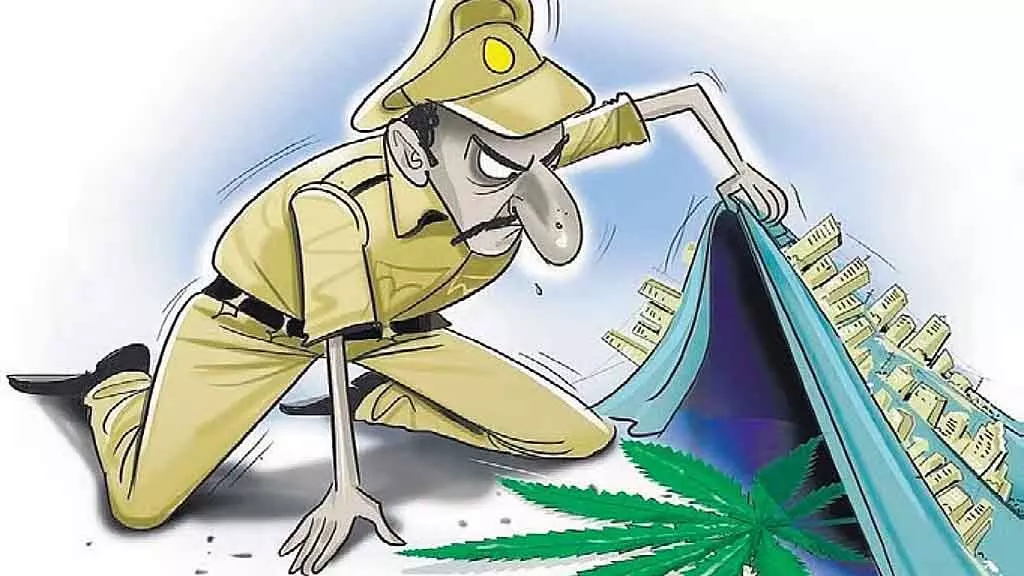 NCB ने बेंगलुरु में इंटरनेशनल ड्रग रैकेट का भंडाफोड़ किया: 8 करोड़ कीमत के 160 kg खट पत्ते जब्त किए NCB ने बेंगलुरु में इंटरनेशनल ड्रग रैकेट का भंडाफोड़ किया: 8 करोड़ कीमत के 160 kg खट पत्ते जब्त किए