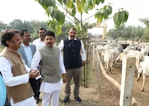 Rewa: गौअभ्यारण्य में आज से शुरू होगा धार्मिक और सांस्कृतिक महोत्सव Rewa: गौअभ्यारण्य में आज से शुरू होगा धार्मिक और सांस्कृतिक महोत्सव