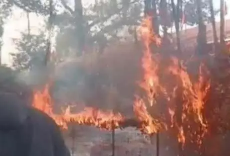 मन्नत धागों और चुनरी में लगी आग, मंदिर परिसर में हड़कंप मन्नत धागों और चुनरी में लगी आग, मंदिर परिसर में हड़कंप