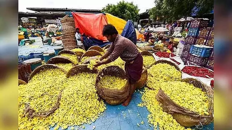 Tamil Nadu में फूलों की कीमतें बढ़ीं, तिरुपुर में चमेली 2,400 रुपये प्रति किलो पर पहुंची Tamil Nadu में फूलों की कीमतें बढ़ीं, तिरुपुर में चमेली 2,400 रुपये प्रति किलो पर पहुंची