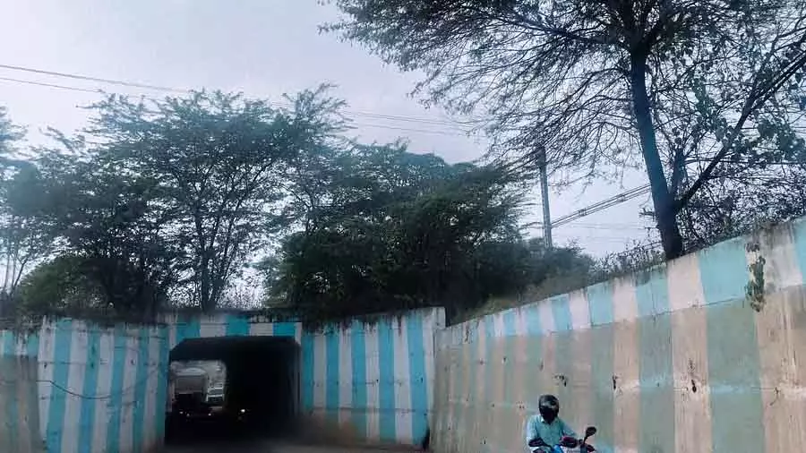 Karnataka ; गौरीबिदनूर के बीचों-बीच रेलवे पुल पर पेड़ उग आए हैं Karnataka ; गौरीबिदनूर के बीचों-बीच रेलवे पुल पर पेड़ उग आए हैं