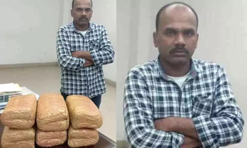 Kerala में तस्करी की कोशिश करते समय 12 किलो गांजा जब्त Kerala में तस्करी की कोशिश करते समय 12 किलो गांजा जब्त
