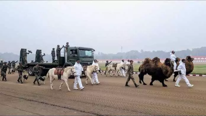 JAMMU: ज़ांस्कर टट्टू, बैक्ट्रियन ऊंट लद्दाख में शामिल किए गए JAMMU: ज़ांस्कर टट्टू, बैक्ट्रियन ऊंट लद्दाख में शामिल किए गए