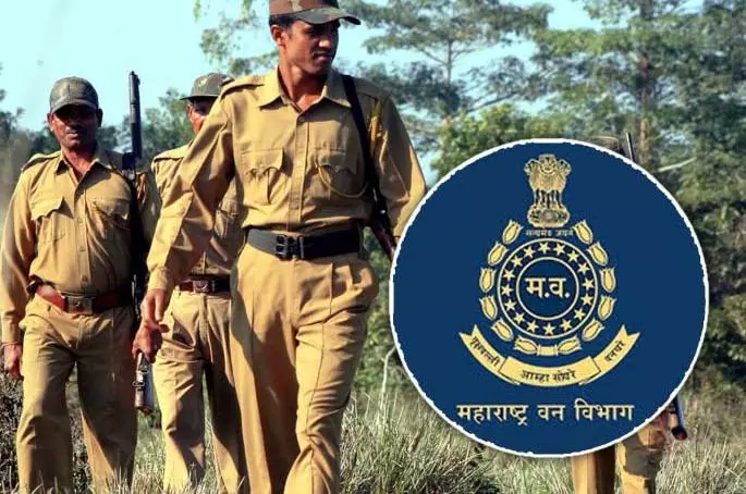 फर्जी forest guard अपॉइंटमेंट लेटर बनाकर युवाओं से ठगी करने वाला गैंग फर्जी forest guard अपॉइंटमेंट लेटर बनाकर युवाओं से ठगी करने वाला गैंग