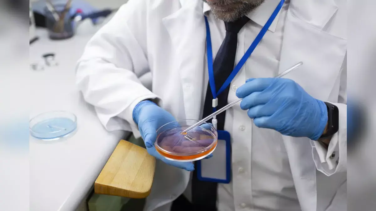 117 साल की महिला के DNA अध्ययन से लंबी उम्र पर नई रोशनी पड़ी 117 साल की महिला के DNA अध्ययन से लंबी उम्र पर नई रोशनी पड़ी