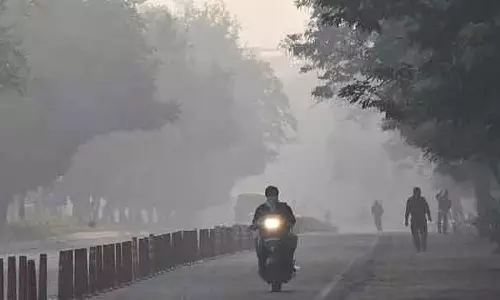 MP : ग्वालियर में ठंड, भोपाल में कोहरा, इंदौर में हल्की धूप