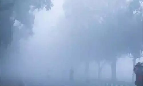 Punjab: 5 जनवरी तक कोहरा-शीत लहर का प्रभाव, IMD ने जारी की चेतावनी Punjab: 5 जनवरी तक कोहरा-शीत लहर का प्रभाव, IMD ने जारी की चेतावनी