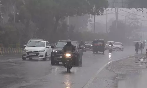 नए साल की बारिश Jalandhar में गेहूं किसानों के लिए खुशी लेकर आई