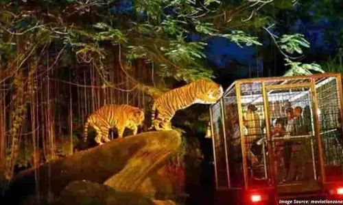Lucknow: सुप्रीम कोर्ट ने नाइट सफारी को दी मंजूरी, एडवेंचर जोन हटा