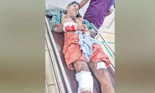 Kerala : जंगली सूअर के हमले में नारियल बागान का कर्मचारी गंभीर रूप से घायल Kerala : जंगली सूअर के हमले में नारियल बागान का कर्मचारी गंभीर रूप से घायल