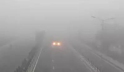 Jaipur: राजस्थान में सर्दी का कहर, दिन में भी ठंड, कोहरे का असर