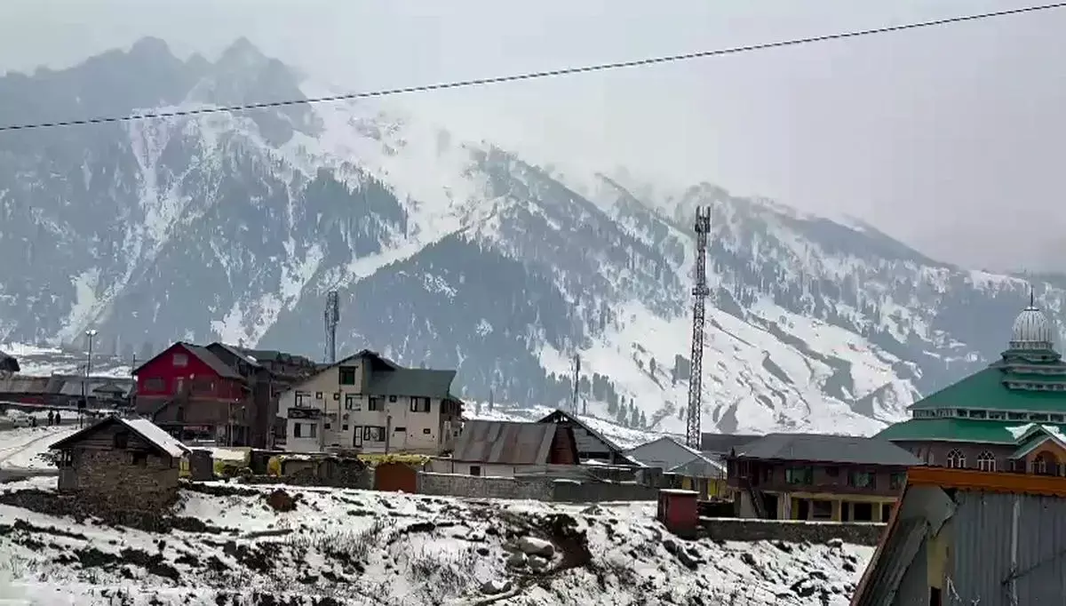 Shimla: बर्फबारी के बाद हिमाचल में सर्दी चरम पर, पांच शहर ठिठुरे Shimla: बर्फबारी के बाद हिमाचल में सर्दी चरम पर, पांच शहर ठिठुरे