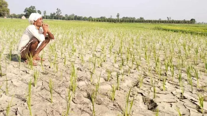 Bareilly: कृषि समस्याओं का समाधान ढीला, किसान परेशान Bareilly: कृषि समस्याओं का समाधान ढीला, किसान परेशान