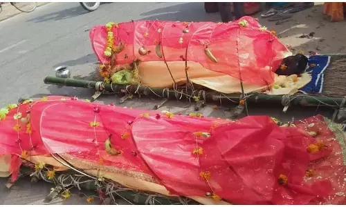 साथ जिए, साथ मरे...पति की मौत का सदमा नहीं सह सकी पत्नी, अटूट प्रेम की मिसाल... साथ जिए, साथ मरे...पति की मौत का सदमा नहीं सह सकी पत्नी, अटूट प्रेम की मिसाल...