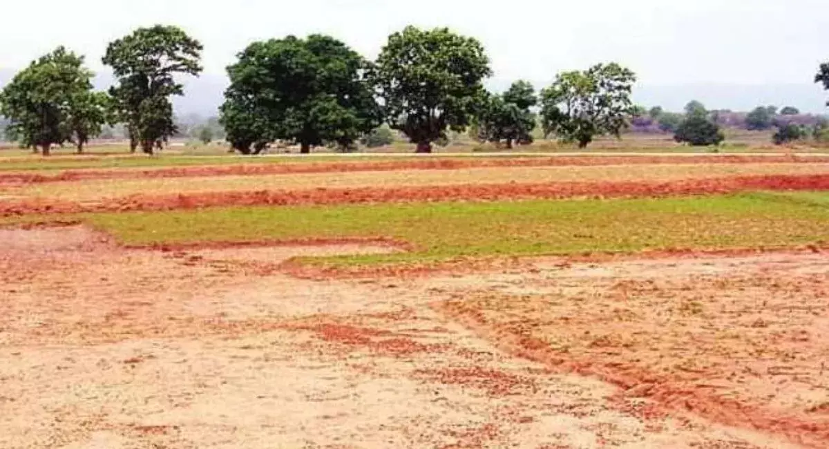 Farrukhabad: कृषि भूमि पर जबरन कब्जे का आरोप, एसपी को आवेदन Farrukhabad: कृषि भूमि पर जबरन कब्जे का आरोप, एसपी को आवेदन
