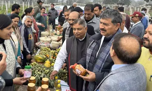 Jammu में बागवानी की अपार संभावनाओं का दोहन करने के लिए सांसदों ने किया आह्वान Jammu में बागवानी की अपार संभावनाओं का दोहन करने के लिए सांसदों ने किया आह्वान