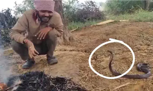 Chhatarpur में एक आदमी सांप के साथ मज़ेदार बातचीत करते हुए पकड़ा गया Chhatarpur में एक आदमी सांप के साथ मज़ेदार बातचीत करते हुए पकड़ा गया