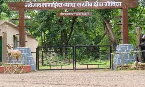क्या Bhandara का महत्व कम करके गोंदिया जिले को बढ़ावा देने की कोशिश की जा रही है? क्या Bhandara का महत्व कम करके गोंदिया जिले को बढ़ावा देने की कोशिश की जा रही है?