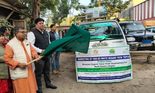 त्रिपुरा से गुजरात को जैविक सफेद तिल का निर्यात; 2023 से अब तक 5.50 करोड़ निर्यात त्रिपुरा से गुजरात को जैविक सफेद तिल का निर्यात; 2023 से अब तक 5.50 करोड़ निर्यात