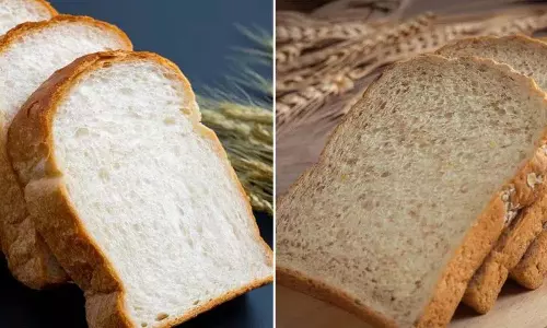 White Bread Vs Brown Bread में से कौन सी ज़्यादा हेल्दी है, जानें