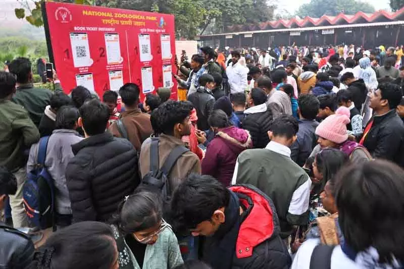 नए साल के दिन 25,000 से ज़्यादा लोग Delhi चिड़ियाघर घूमने आए नए साल के दिन 25,000 से ज़्यादा लोग Delhi चिड़ियाघर घूमने आए