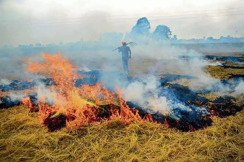 दिसंबर में पराली जलाने में कमी, फिर भी Delhi-NCR की हवा खराब: स्टडी दिसंबर में पराली जलाने में कमी, फिर भी Delhi-NCR की हवा खराब: स्टडी