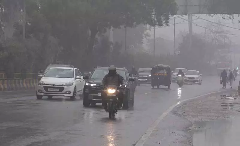 नए साल की बारिश Jalandhar में गेहूं किसानों के लिए खुशी लेकर आई नए साल की बारिश Jalandhar में गेहूं किसानों के लिए खुशी लेकर आई