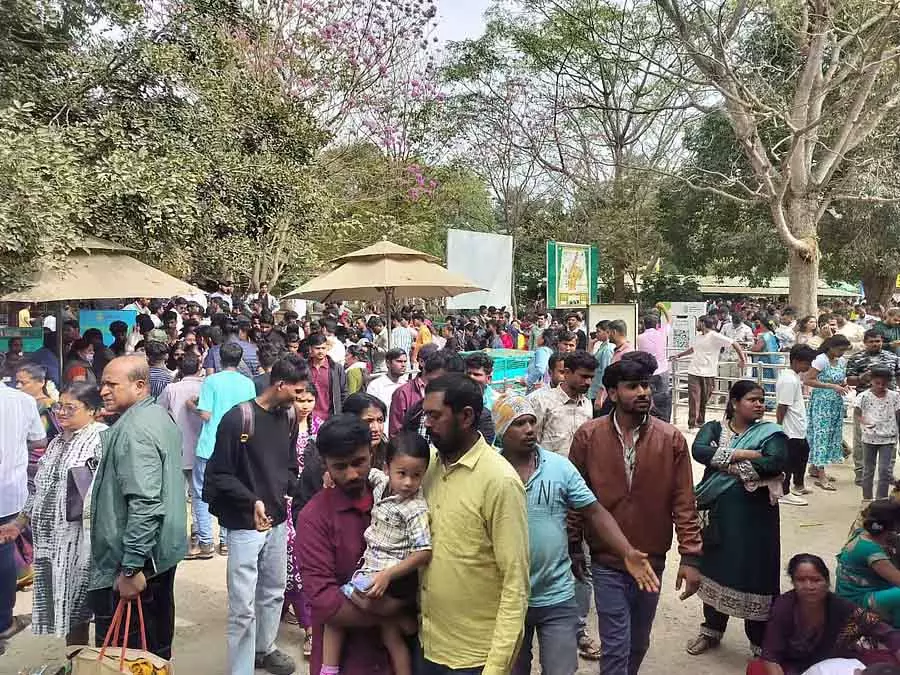Karnataka : बन्नेरघट्टा पार्क में पर्यटकों की चहल-पहल Karnataka : बन्नेरघट्टा पार्क में पर्यटकों की चहल-पहल