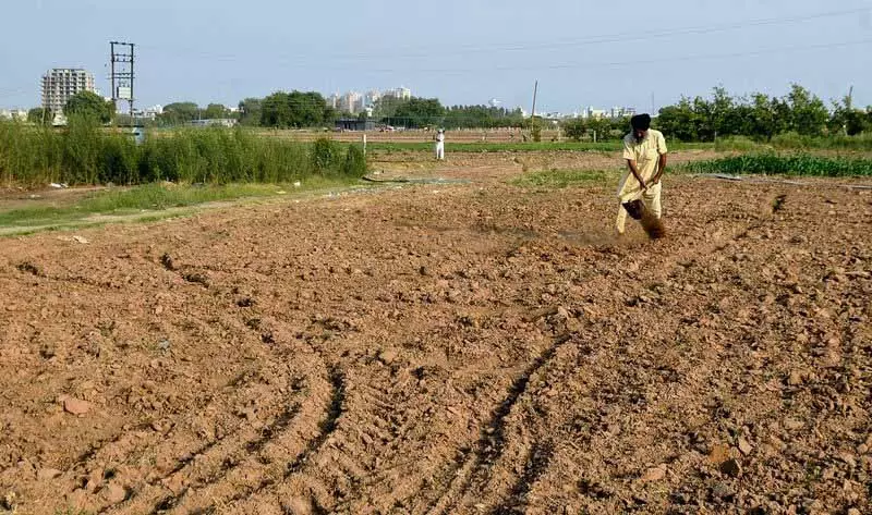 Ludhiana: कृषि विभाग ने कैंसर पैदा करने वाले कीटनाशकों के इस्तेमाल को रोकने के लिए अभियान शुरू Ludhiana: कृषि विभाग ने कैंसर पैदा करने वाले कीटनाशकों के इस्तेमाल को रोकने के लिए अभियान शुरू