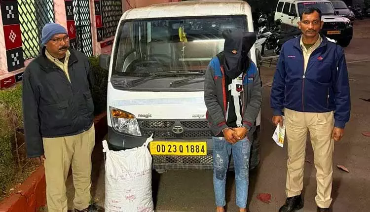 Rourkela में गांजा जब्त, एक गिरफ्तार Rourkela में गांजा जब्त, एक गिरफ्तार