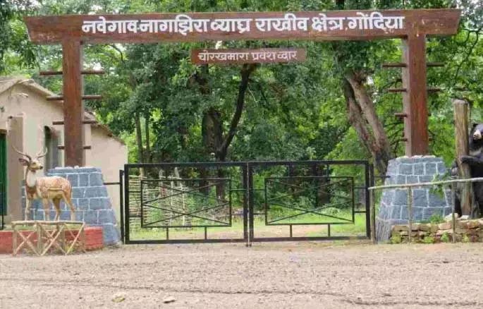 क्या Bhandara का महत्व कम करके गोंदिया जिले को बढ़ावा देने की कोशिश की जा रही है? क्या Bhandara का महत्व कम करके गोंदिया जिले को बढ़ावा देने की कोशिश की जा रही है?