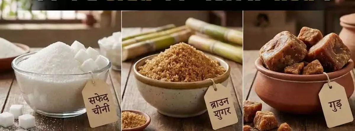 Health के लिए मिठास का सही चुनाव जरूरी Health के लिए मिठास का सही चुनाव जरूरी