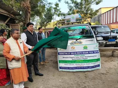 त्रिपुरा से गुजरात को जैविक सफेद तिल का निर्यात; 2023 से अब तक 5.50 करोड़ निर्यात त्रिपुरा से गुजरात को जैविक सफेद तिल का निर्यात; 2023 से अब तक 5.50 करोड़ निर्यात