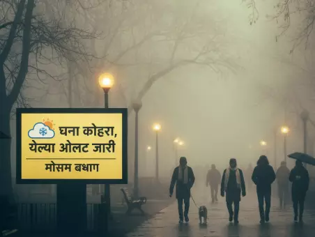 नसीआर में शनिवार को घना कोहरा, IMD ने जारी किया येलो अलर्ट नसीआर में शनिवार को घना कोहरा, IMD ने जारी किया येलो अलर्ट