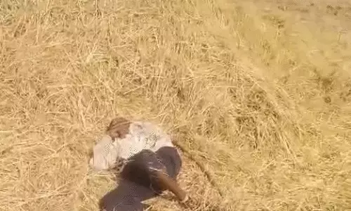 ठंड जानलेवा साबित हो रहा, छत्तीसगढ़ में अब दूसरी मौत