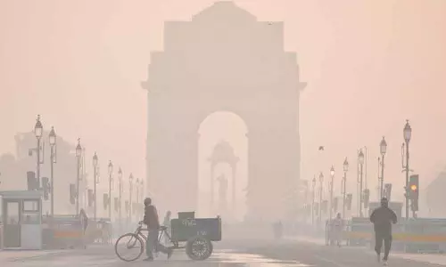 एक्सप्लेनर: डेटा से पता चला, Delhi प्रदूषण में पराली जलाने की भूमिका सीमित