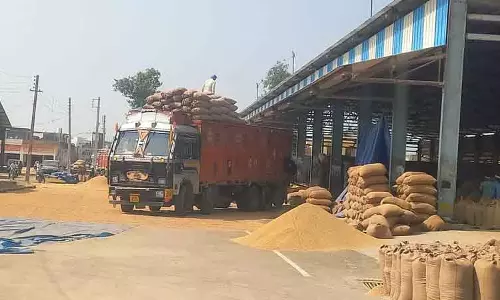 Karnal ‘घोस्ट ट्रक’ मालिकों ने गड़बड़ी का आरोप लगाया, कहा- धान नहीं उठाया, न ही भुगतान का दावा किया