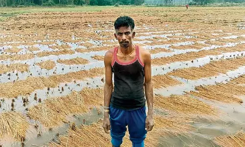 Karnataka के मालवल्ली तालुक में भारी बेमौसम बारिश से धान की फसल बर्बाद हो गई Karnataka के मालवल्ली तालुक में भारी बेमौसम बारिश से धान की फसल बर्बाद हो गई