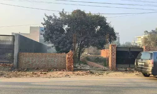 Jalandhar में प्लॉट पर सफाई न करने पर 204 मालिकों को नोटिस दिया गया Jalandhar में प्लॉट पर सफाई न करने पर 204 मालिकों को नोटिस दिया गया