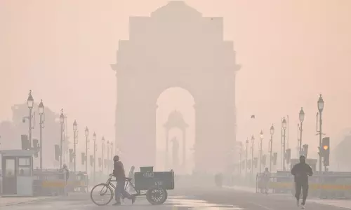 एक्सप्लेनर डेटा कैसे दिखाता है कि Delhi के प्रदूषण में पराली जलाने की भूमिका सीमित है एक्सप्लेनर डेटा कैसे दिखाता है कि Delhi के प्रदूषण में पराली जलाने की भूमिका सीमित है